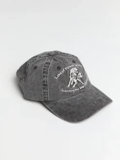 Lake 6-Panel Kasket i Koksgrå