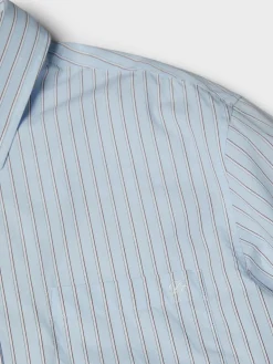 Unisex Oversized Striped Skjorte i Sky Blue Stripe